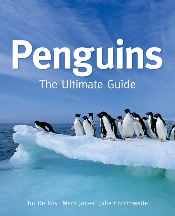 naughty penguins book