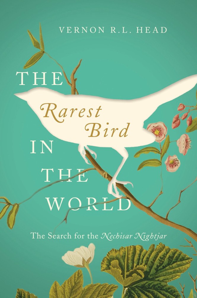 New Book The Rarest Bird in the World The Search for the Nechisar