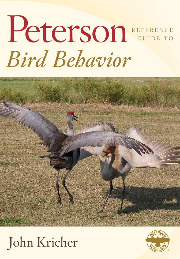 Peterson Reference Guide to Bird Behavior | LaptrinhX / News