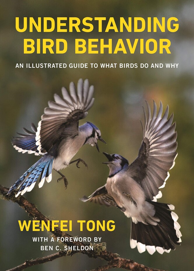 new-book-understanding-bird-behavior-an-illustrated-guide-to-what