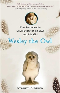 Review: Wesley the Owl: The Remarkable Love Story of an Owl and His Girl