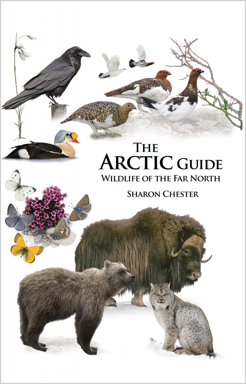 New Book: The Arctic Guide: Wildlife of the Far North