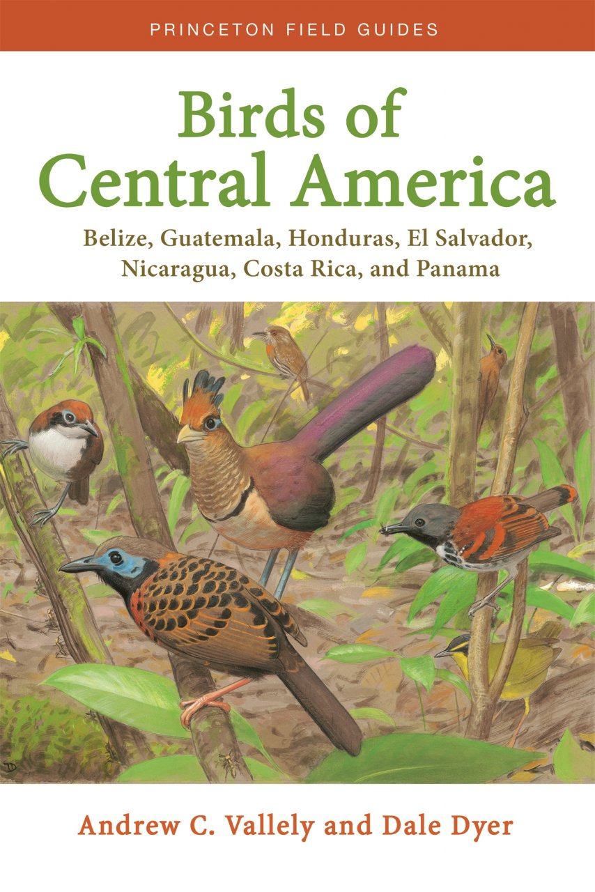 New Book: Birds of Central America: Belize, Guatemala, Honduras, El