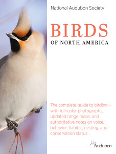 Review: National Audubon Society Birds Of North America